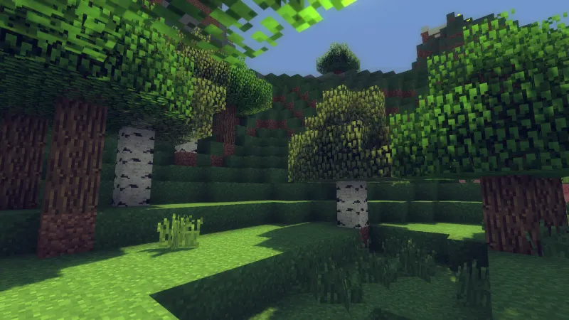 Minecraft Java Edition with shaders — lush forest landscape